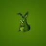 bunnyverde