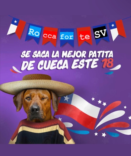 CONCURSO VIVA CHILE MIERDA 🇨🇱 !!! (Mejores Payas de SV)