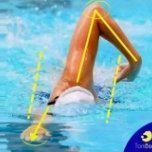 LifeGuard18