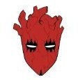 Shin